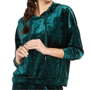 COPY - Alfani Velvet Hoodie